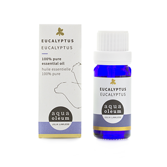 eucalyptus._1.png Aqua oleum Eucalyptus 10ml - Image 1