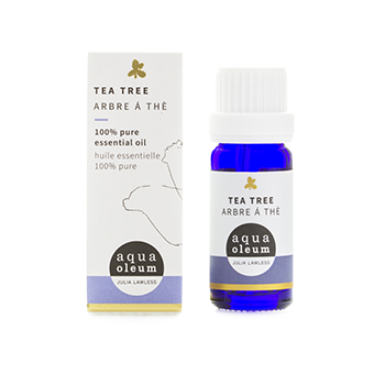 tea-tree.png Aqua oleum Tea tree oil 10ml - Image 1