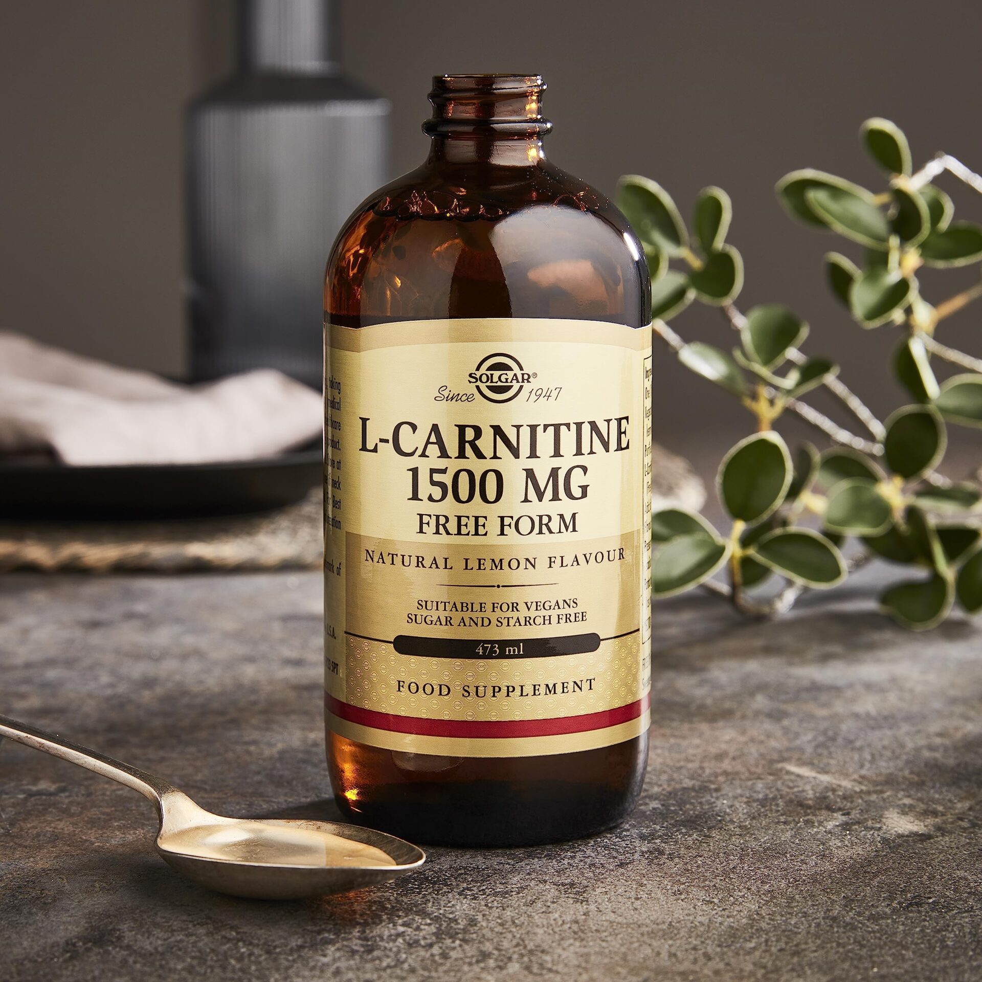 L Carnitine Liquid 1500mg 473ml Lemon Flavour solgar L Carnitine Liquid 1500mg 473ml Lemon Flavour - Image 1